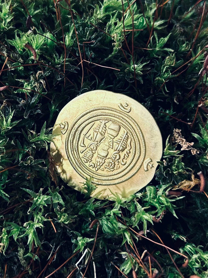 The Sovereign’s Coin