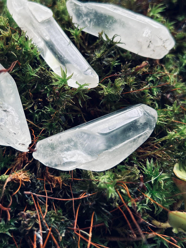 Witch's Warding Shard - For protection, Warding and Boundary Work