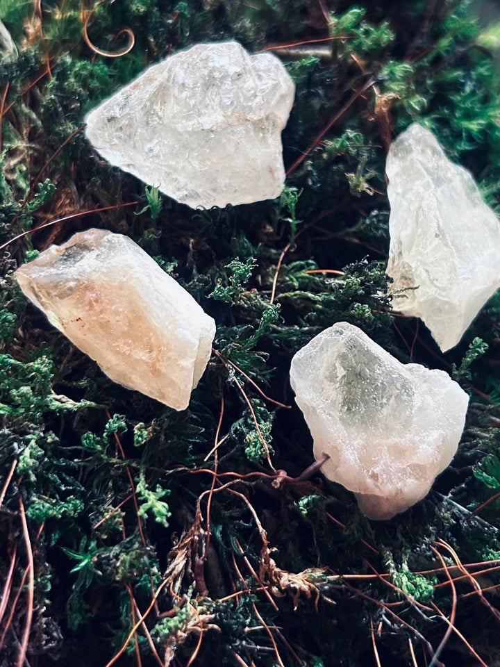 WEALTH Shard of Want: Raw Citrine for Wealth, Hunger, Forward Motion