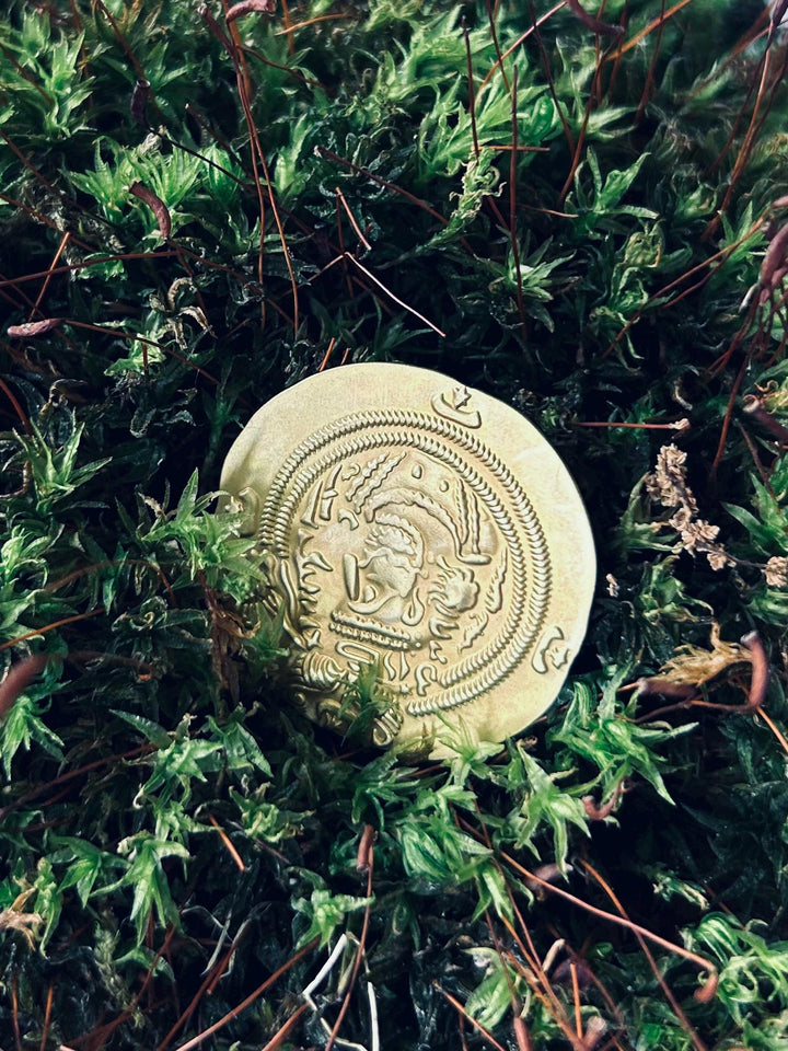 The Sovereign’s Coin